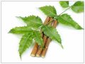 Neem Stick For Teeth   Misfak  Teeth brush. 