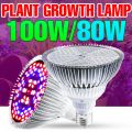 220V LED Full Spectrum Grow Light Bulb E27 Phytolamp For Plants LED E14 UV Lamp Indoor Flower Seeds Hydroponics Growth Lights. 