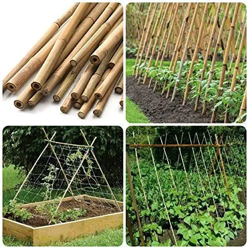 Bamboo%20sticks%205pieces%20-%20Image%202