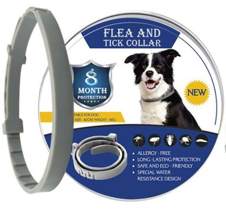 Flea collar that kills fleas and eggs best sale