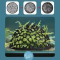 Aquarium shrimp house Cave Mini Porous Betta House Fish Hiding Spots Shrimp Shelter Shrimp breeding nest for Aquatic Decor.
