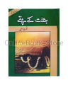 Jannat Kay Pattay Urdu novel by Nemra nimra Ahmed Best selling urdu reading book | Nimra Ahmed Best Novel Jannat Ke Patty Both Parts Combine. 
