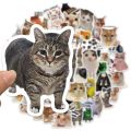 50PCS Creative Network Popular Cat Meme Collection Hand Account DIY Graffiti Stickers Water Cup Skateboard Stickers Toys. 
