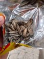 Original And High Quality First Time Beej (Pack Of 13 Big Pieces) Sunflower / Sunflower Seeds / Normal Salted / Crispy And Fresh Seeds / Freshness A1 Seeds / With Affordable Price (To Hojaya Time Pass) Seeds. 