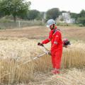 BRUSH CUTTER MACHINE , GRASS CUTTER MACHINE , WHEAT , RICE , LUSAN , BARSEEM , CHARA TRIMMER  MACHINE. 