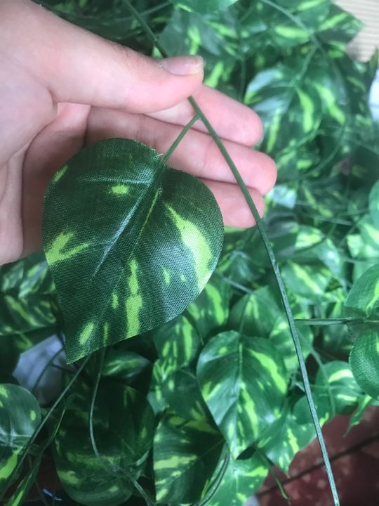 Leaf%20Vine%20Decor%20Strand%20%20Per%20-%207ft%206inc%20-%20Image%205