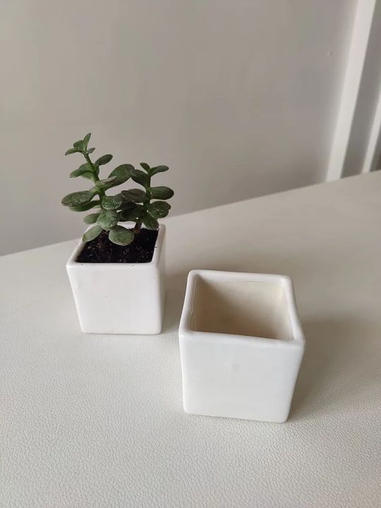 Mini%20Succulent%20Pot,%20White%20Ceramic%20Small%20Square%20Plant%20Pot,%20Cactus%20Planter%20Pot%C2%A0%20-%20Image%202