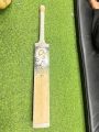 CA Gold 20K cricket Bat. 