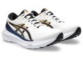 Asics Gel Kayano 30 Running shoes Gym Marathon.