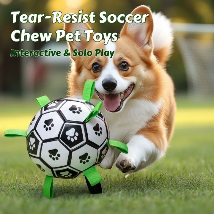 Soccer Dog Toy Tear Resistant Chew Ball For Interactive Training soccer-dog-toy-tear-resistant-chew-ball-for-interactive-training