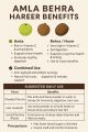 Triphala Powder 100 Gram - ترپھلہ پاؤڈر - Fresh and Clean New Stock of Triphala Powder. 