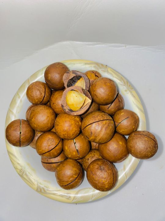 Macadamia%20Nuts%20250%20grams%20%7C%20Chabi%20wale%20akhrote%20-%20Image%206