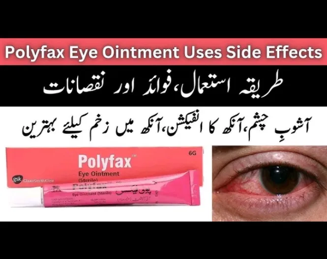 Polyfex%20Antibacterial%20Eye%20Ointment%206GM%20-%20Image%202