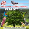 birds hand feeding formula. 