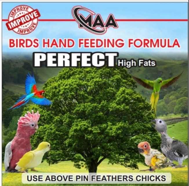 birds hand feeding formula