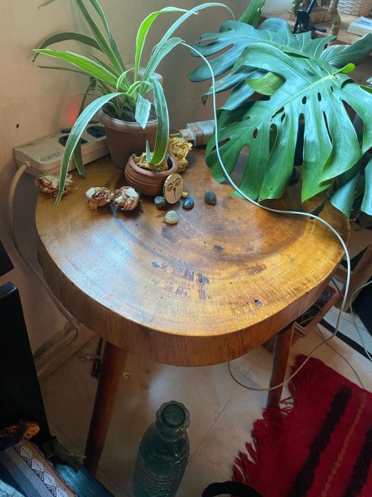 Live%20Edge%20Coffee%20Table%20(18%20Inches%20Hight)%20-%20Image%206