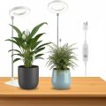 LED Grow Light USB 5V Full Spectrum Plant Growing Lamp Indoor Plants Seedlings Succulents Timer Dimmable Brightness Plant. 