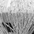 2M*1M String Curtain Panels Door Fly Screen Hanging Beaded Curtains Room Divider Net. 
