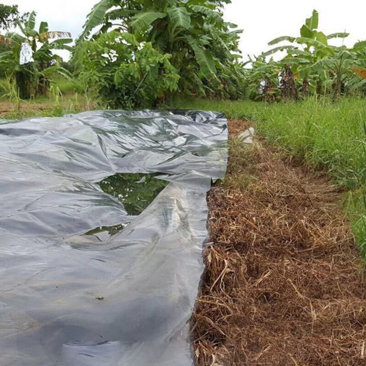 Plastic%20mulch%20has%20a%20drill%20hole%20and%20does%20not%20drill%2010%20m%20long.%2080/100/120/150mm%20wide%20%7C%20plastic%20mulch%20plastic%20mulch%20film%20-%20Image%207