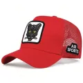Unisex Cat Embroidery Baseball Net Caps Spring Summer Outdoor Adjustable Casual Hats Sunscreen Hat. 