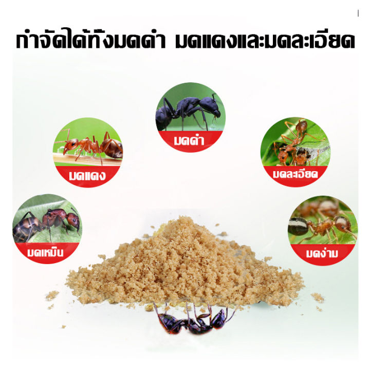 Effective%20100%25%20the%20fast%20ant%20killer,%20remove%20ants,%20raise%20ants,%20raise%20ants,%20raise%20ants,%20remove%20ants,%20remove%20ants,%20raise%20nests,%20all%20kinds%20of%20ants,%20insecticide%20day,%20ant%20killer,%20kill%20ants,%20raise%20nests%20ants%20killer%20-%20Image%203