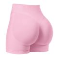 Women's Summer Shorts Low Waist Seamless Shorts Gym Shorts Yoga Shorts Running Shorts and High Stretch Cycling Training Shorts.