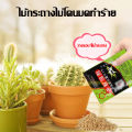 Effective 100% the fast ant killer, remove ants, raise ants, raise ants, raise ants, remove ants, remove ants, raise nests, all kinds of ants, insecticide day, ant killer, kill ants, raise nests ants killer. 