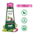 Kesh King Herbal Onion Shampoo with Curry Leaves – 170ml. 