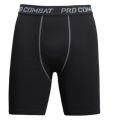 Sports Men Leggings Male Fitness Pants Elastic Compression Tights Gym Running Training Shorts Quick Drying Bottoming Shorts. 