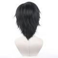 Anime Jujutsu Fushiguro Toji Cosplay Synthetic wig Short Black hair for men costumes Wigs. 