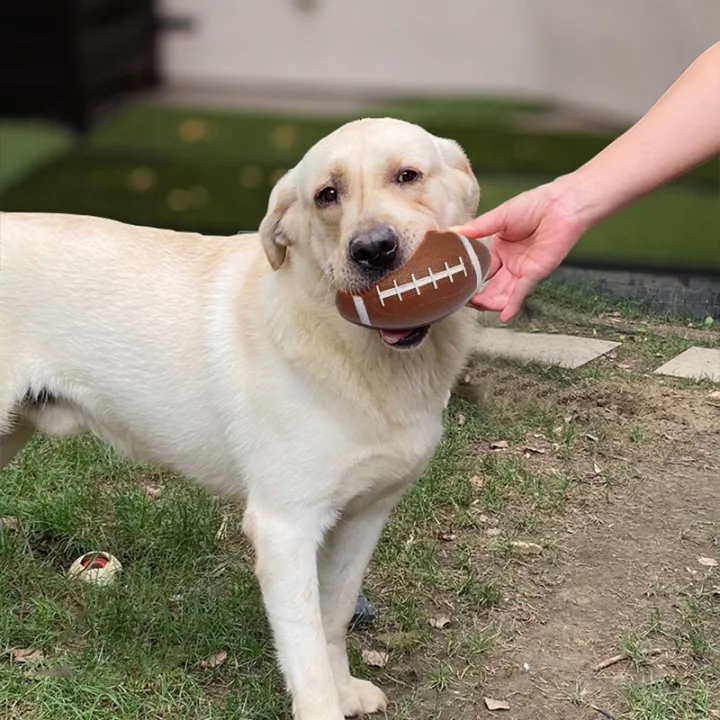 1pc%20Dog%20Toy%20Ball%20Rugby%20Shape%20Elasticity%20Pet%20Toy%20Outdoor%20Exercise%20for%20Medium%20and%20Large%20Breed%20Interactive%20Pet%20Supplies%20TMZ%20-%20Image%202