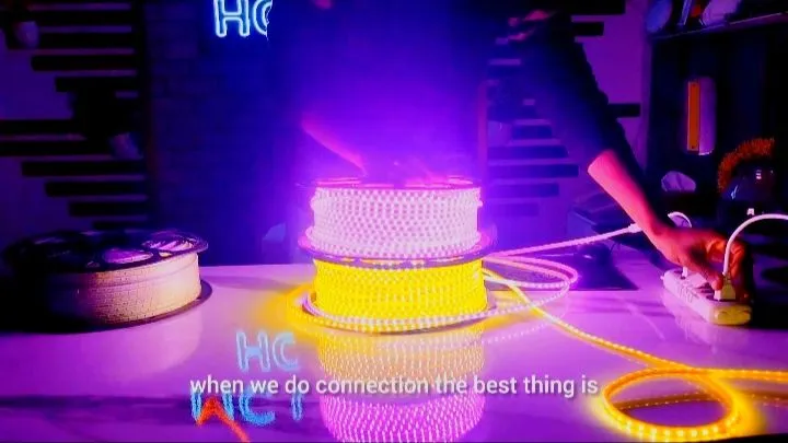 ceiling%20Rope%20light%20-%20Image%205