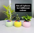 Cactus or succulent plantable round vase 3 piece in different colour. 