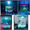 Mini Aquarium || Table Aquarium || Aquarium || betta house Single. 
