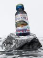 Flavored Fishing Bait for Catching KOI FISH |.