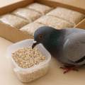 Pigeon Grit – 1KG Natural Mineral Feed Supplement for All Birds & Pigeons. 