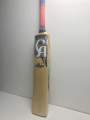 CA Thunder hardball bat. 