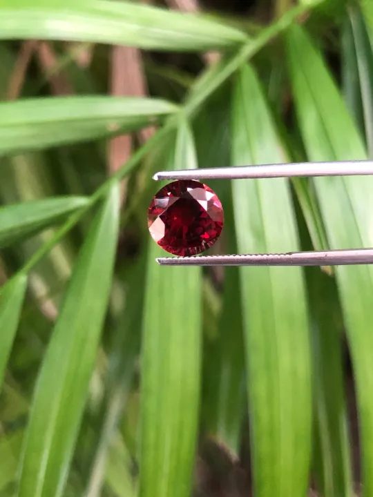 Red%20Garnet%20-%20Image%205