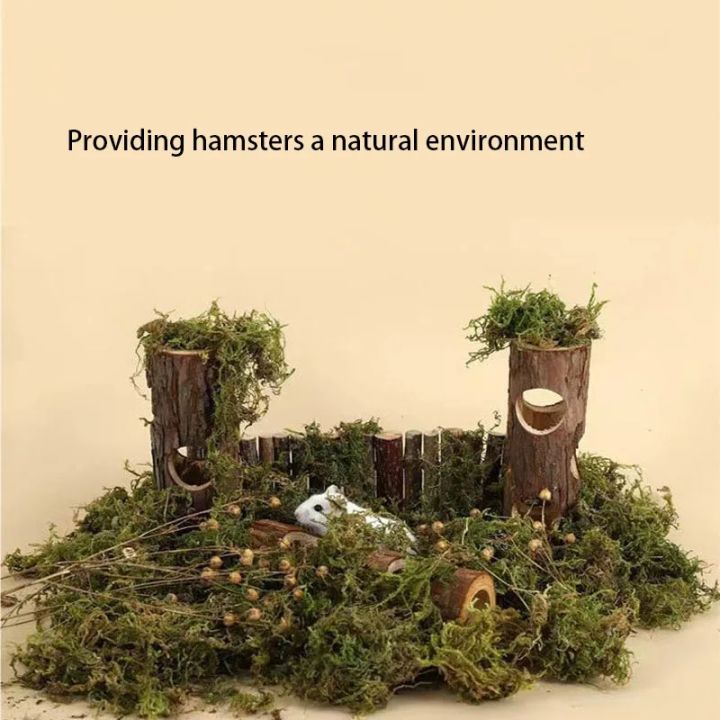 Natural%20Pet%20Toy%20Grinding%20Cleaning%20Chew%20Toy%20Small%20Pets%20Toys%20For%20Hamster%20Rabbit%20Grinding%20Products%20Made%20of%20%20Tree%20Wood%20-%20Image%204