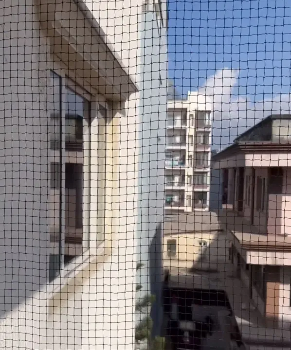 Bird%20Net%20Installation%20/%20Pigeon%20Net%20Installation%20Per%20Square%20Feet%20-%20Image%204