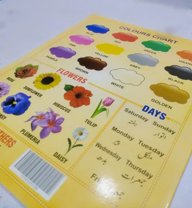 10%20in%201%20learning%20book%20for%20kids%20,BIRDS%20NAMES,FRUIT%20NAMES,%20vegetables%20names,%20animals%20names,%20Flowers%20,colours,days%20-%20Image%202