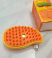 Cat spray brush / Cat and dog steamy hair remover massage /Multifunction 3 in 1.