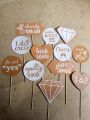 Pack of 12 Bride to Be wedding Props. 