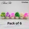 Pack of 3, 5 Artificial Small Plants - 6 Inches High Quality Table Top Decor in White Pots. 