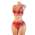 Lace Contrast Color Lingerie Bra And Panties Sets Underwear Set Women Suits. 