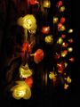 80 pieces Rose fairy light set current system. 