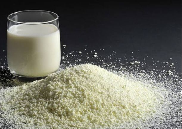 cultured milk dry powder mlik of good quality
