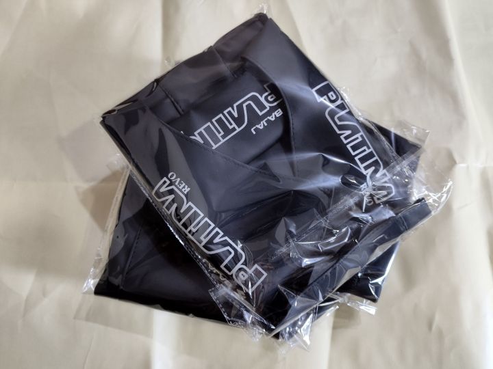 BAJAJ%20PULSAR%20TANK%20COVER%20PROTECTION%20-%20Image%207