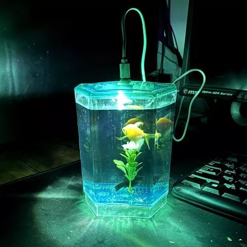 Betta%20House%20(Single%20House%20With%20Light)%20For%20Fish%20-%20Image%207