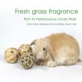 5PCS Rabbit Ball Toys Bunny Treats Toys For Teething Small Animal Chew Toys Grass Ball For Dwarf Hamster Rabbits Guinea Pigs Ger. 
